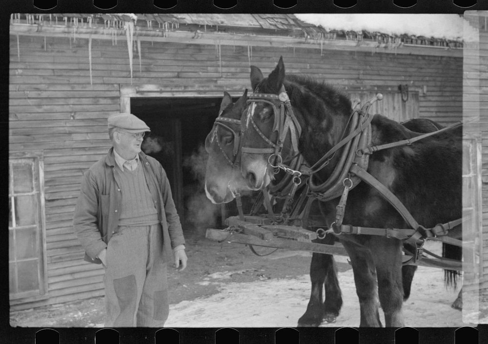 Hired man and team, Putney Homesteads, near Woodstock, Vermont. Sourced from the Library of Congress.