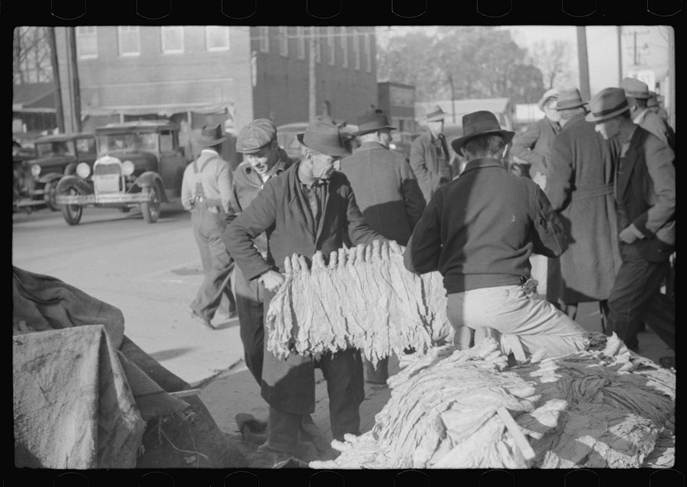 [Untitled photo, possibly related to: Farmers and warehousemen unloading tobacco on sidewalk, before auction sale. The…