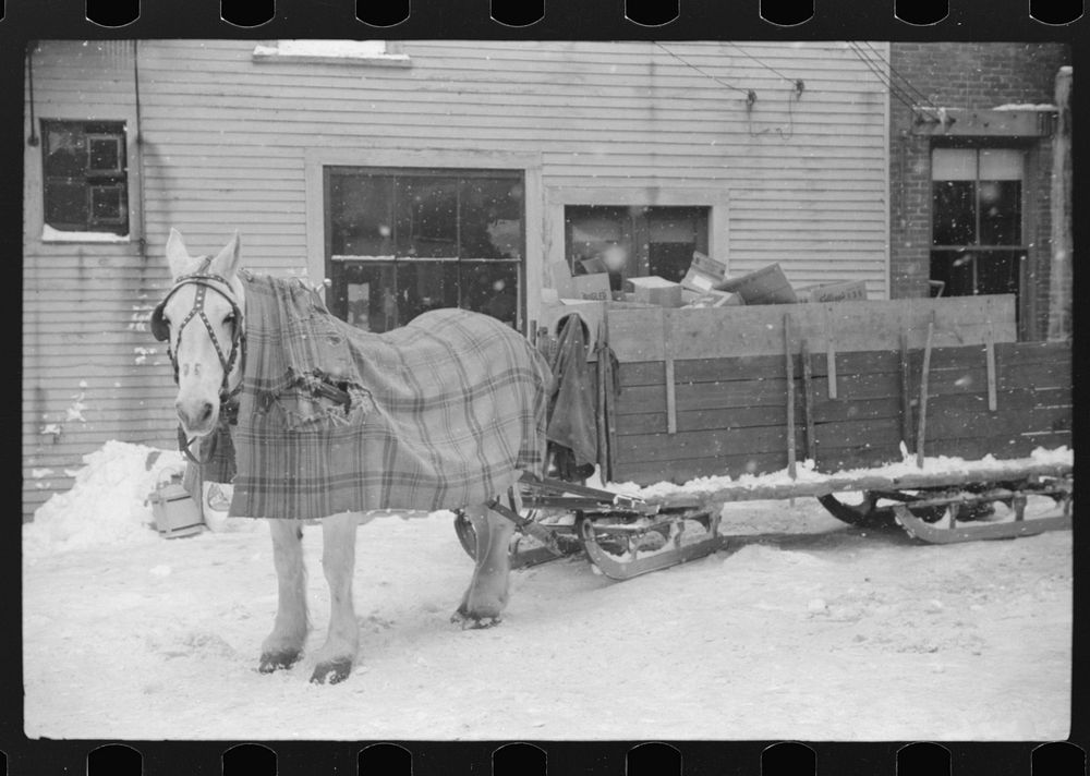 [Untitled photo, possibly related to: Woodstock, Vermont. Horse and sled of a garbage and rubbish collector]. Sourced from…