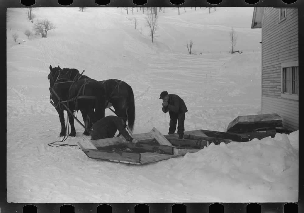 [Untitled photo, possibly related to: Mr. Gilbert and hired man hauling wood for winter fuel. Woodstock, Vermont]. Sourced…