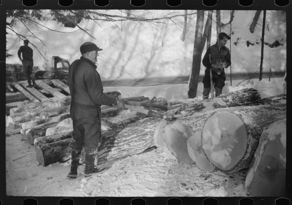 Logs hauled by tractor to the road where they are picked up by truck and taken to the mill, near Barnard, Windsor County…