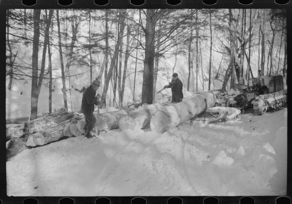 [Untitled photo, possibly related to: Hauling timber by tractor to the road where it is taken by truck to the mill, near…
