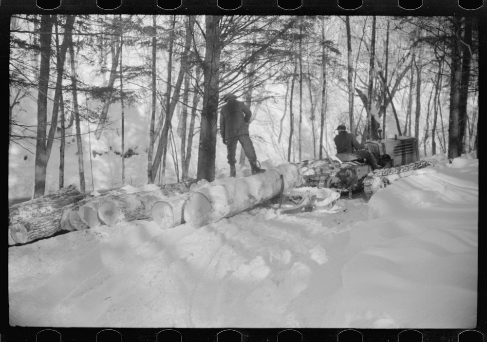 Hauling timber by tractor to the road where it is taken by truck to the mill, near Barnard, Windsor County, Vermont. Sourced…