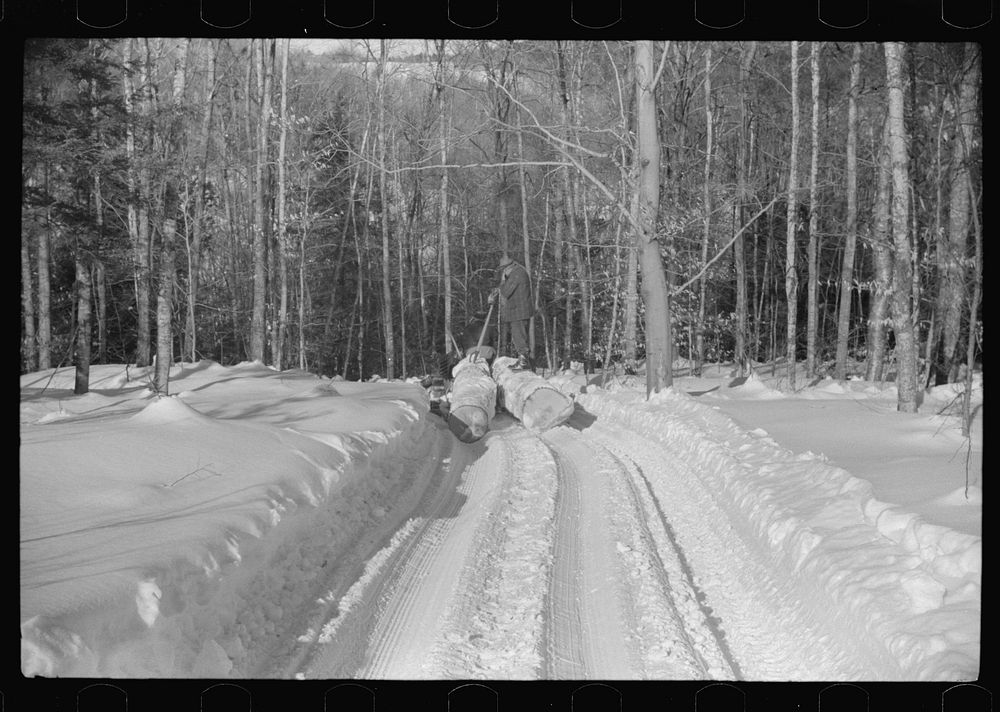 Hauling timber by tractor to the road where it is taken by truck to the mill. Near Barnard, Windsor county, Vermont. Sourced…