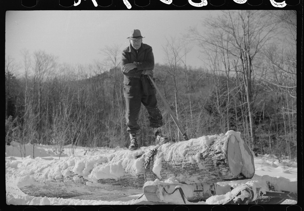 [Untitled photo, possibly related to: Log being hauled by a tractor from woods to the road, where it will be loaded on a…