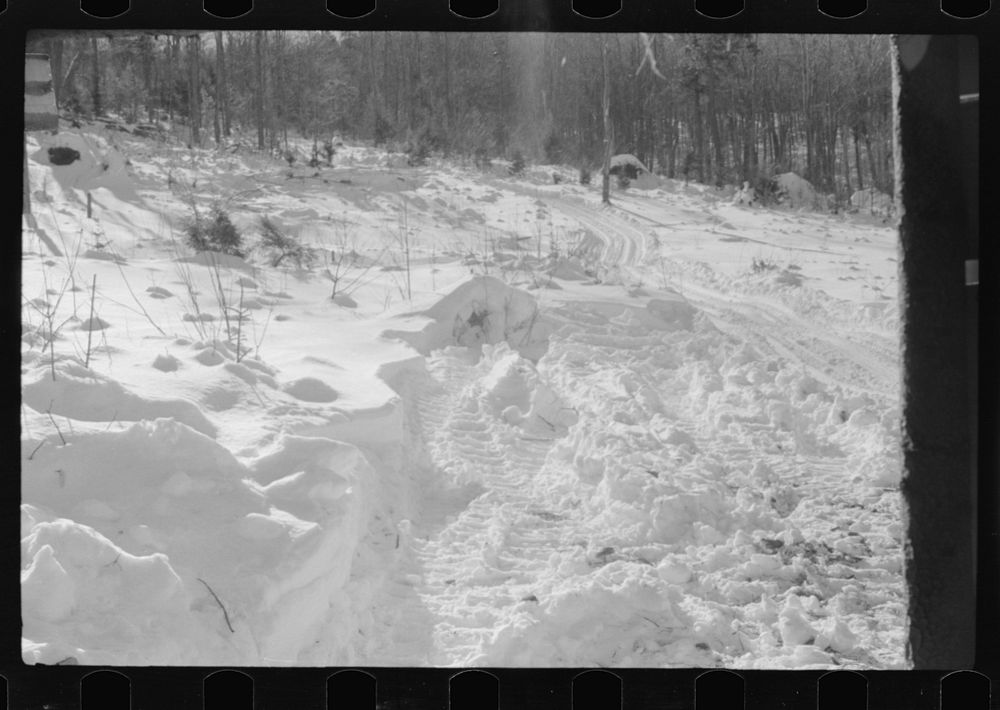 [Untitled photo, possibly related to: Path leading to lumbermen's shack near Barnard, Windsor County, Vermont]. Sourced from…