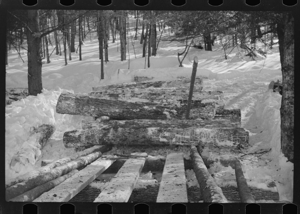 [Untitled photo, possibly related to: Logs hauled by tractor to the road where they are picked up by truck and taken to the…