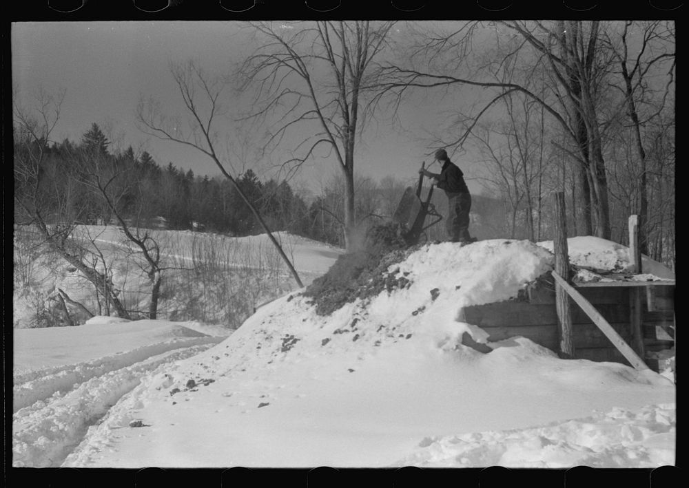 Hired man on Gilbert farm emptying load of manure after cleaning out the dairy barn early on a winter morning. Woodstock…