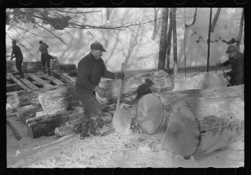 [Untitled photo, possibly related to: Hauling timber by tractor to the road where it is taken by truck to the mill. Near…