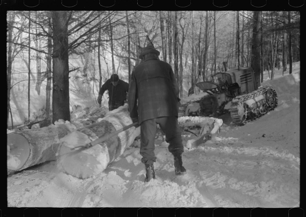 [Untitled photo, possibly related to: Hauling timber by tractor to the road where it is taken by truck to the mill. Near…