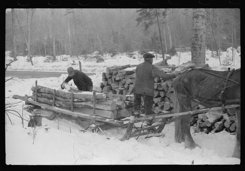 Farmer hauling wood for winter fuel near Littleton, New Hampshire. Sourced from the Library of Congress.