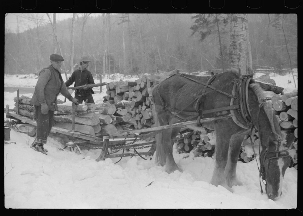[Untitled photo, possibly related to: Farmer hauling wood for winter fuel near Littleton, New Hampshire]. Sourced from the…