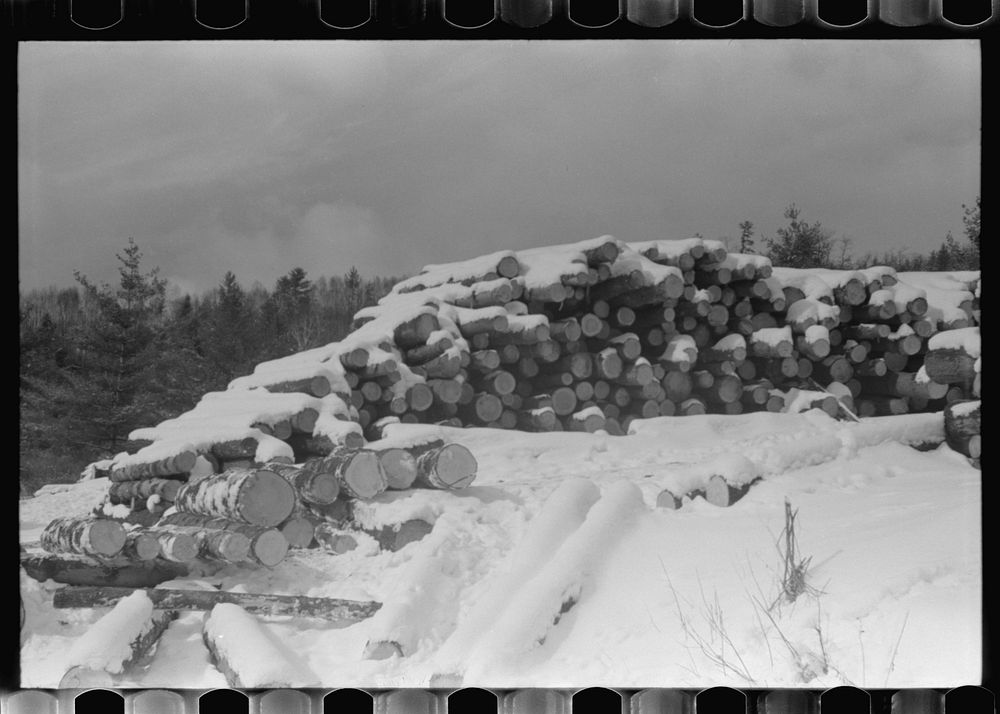 [Untitled photo, possibly related to: Timber levelled by 1938 hurricane at sawmill near Warren, New Hampshire]. Sourced from…