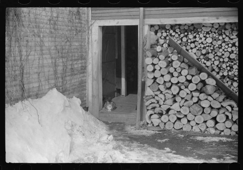 [Untitled photo, possibly related to: Woodshed on Putney Homestead farm near Woodstock, Vermont]. Sourced from the Library…