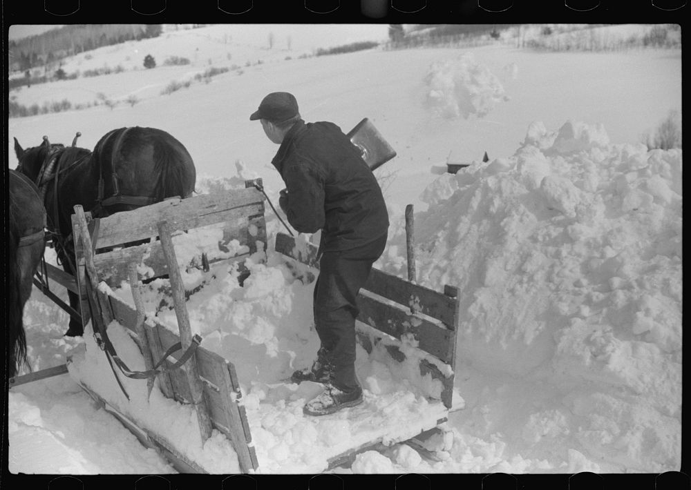 [Untitled photo, possibly related to: Hauling water in milk cans because usual source of supply is frozen. Putney Homestead…