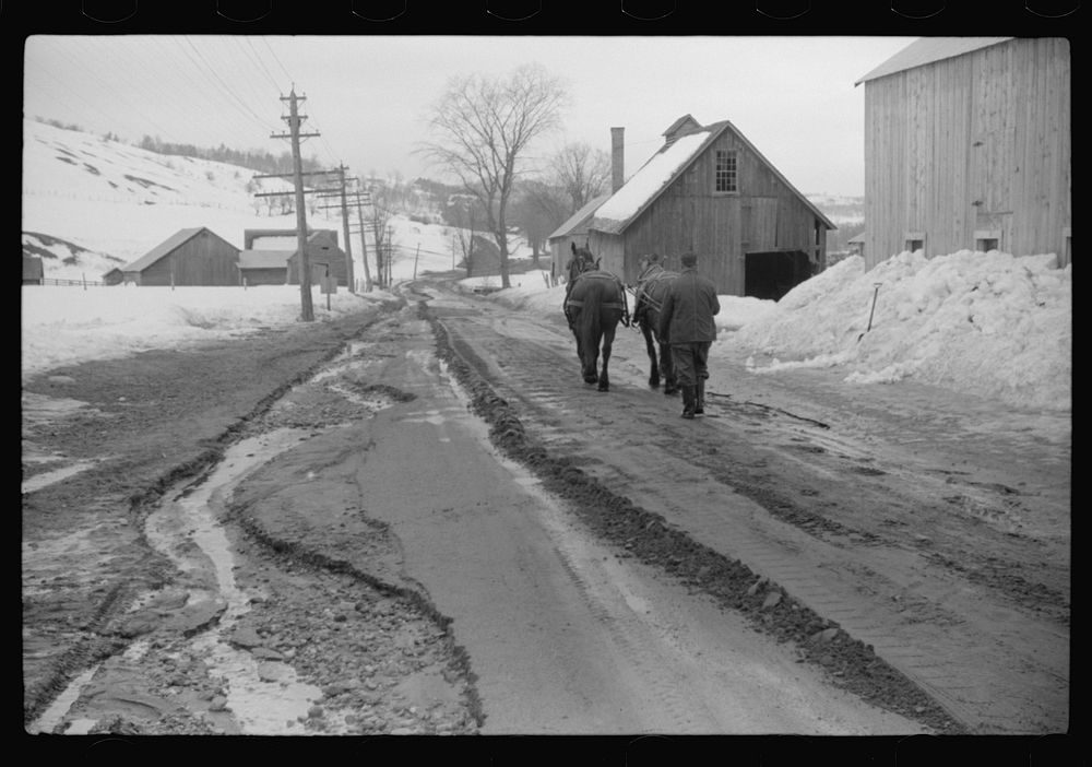 Woodstock (vicinity), Vermont. Clinton Gilbert driving a team down the road to his farm during a spring thaw. Sourced from…