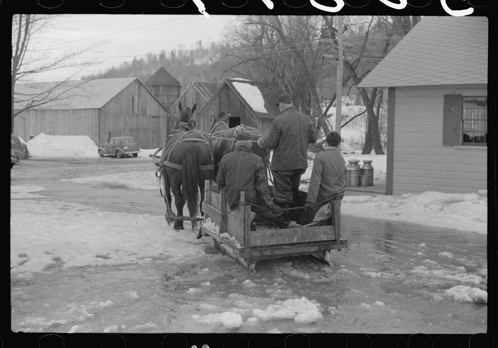 Clinton Gilbert and hired men driving back to barn after coming from sugar maple trees for sap which is boiled down into…
