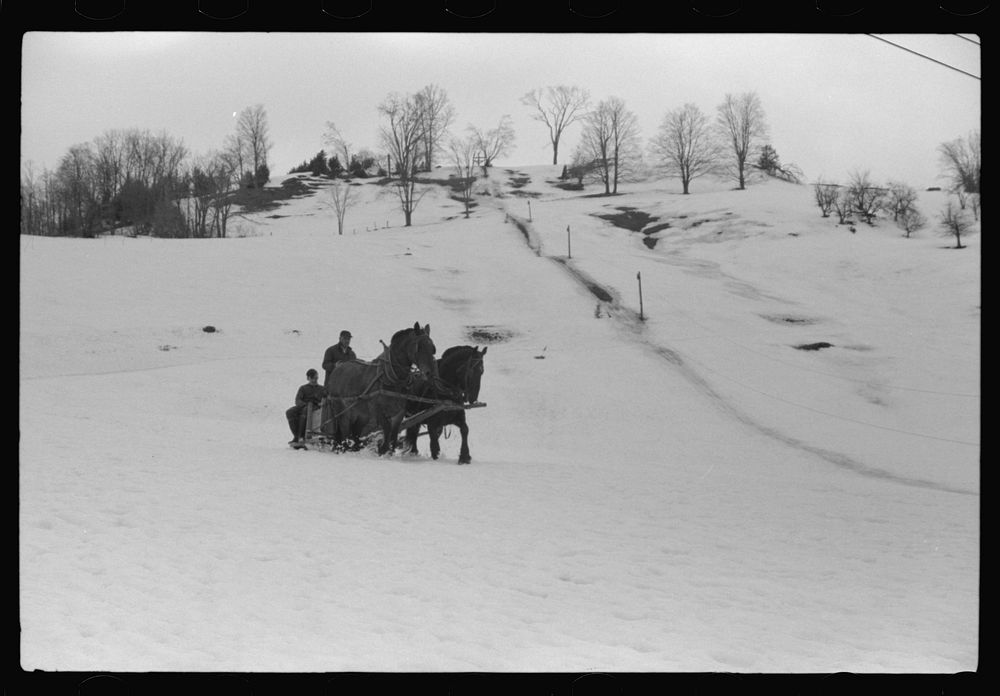 [Untitled photo, possibly related to: Clinton Gilbert and hired men driving back to barn after coming from sugar maple trees…