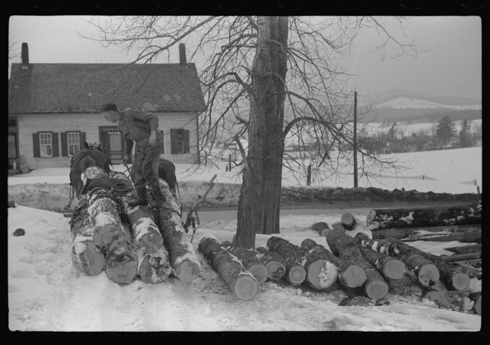 [Untitled photo, possibly related to: Hired man hauling logs on farm near Waterbury, Vermont. They are then sold to the…