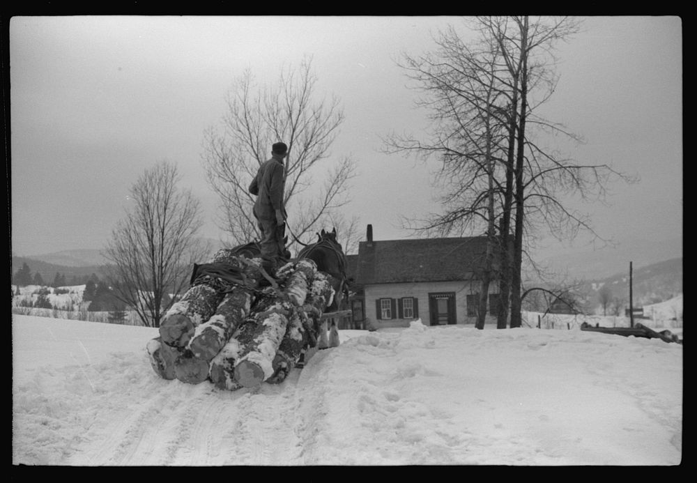 Hired man hauling logs on farm near Waterbury, Vermont. Sourced from the Library of Congress.