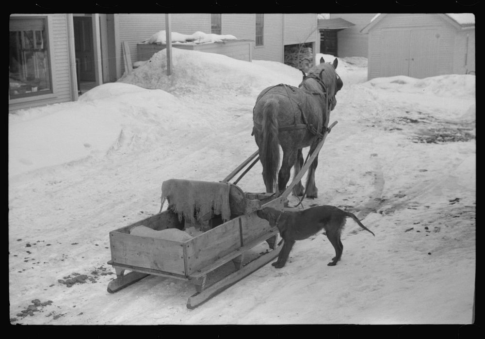 Farmer's sled waiting outside the general store in Stowe, Vermont. Sourced from the Library of Congress.