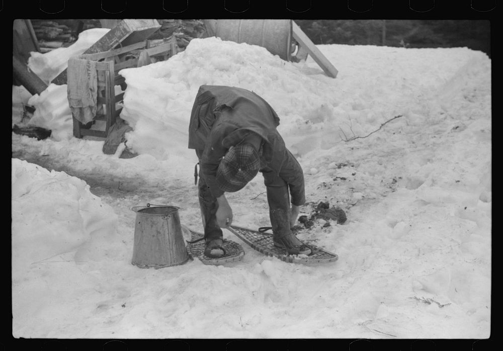 Son of Walter Gaylord putting on snowshoes before going to gather sap from sugar maple trees. The snow was so deep that…