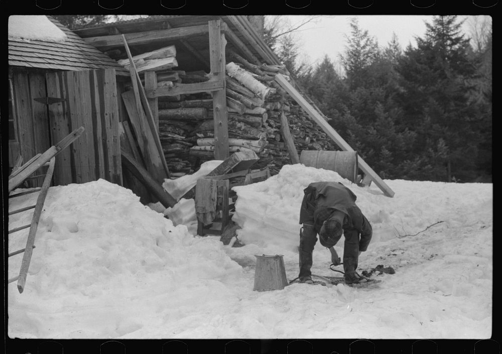 [Untitled photo, possibly related to: Son of Walter Gaylord putting on snowshoes before going to gather sap from sugar maple…
