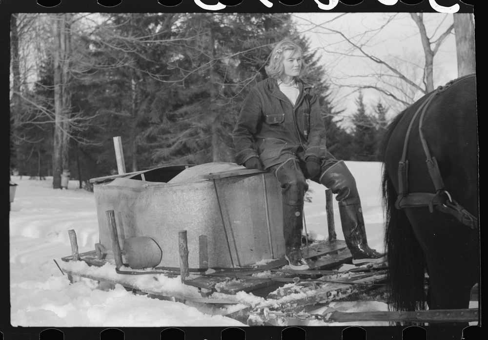 [Untitled photo, possibly related to: Hired man, young neighbor (Julia Fletcher), collie dog, and Frank H. Shurtleff's son…