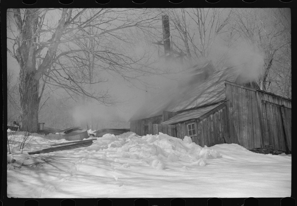 [Untitled photo, possibly related to: Young daughter of Frank H. Shurtleff going towards the sugar house where sap from…