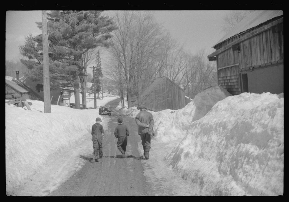 Mr. Shurtleff and his children going home to dinner after making maple syrup all morning. Bridgewater(?), near Woodstock…
