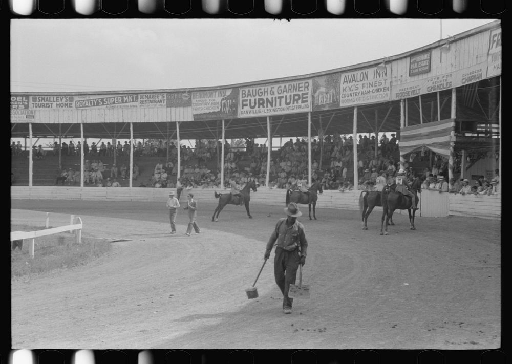 Entries Shelby County Horse Show Free Photo rawpixel