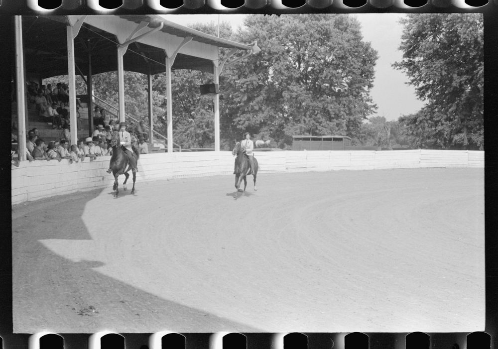 [Untitled photo, possibly related to: Entries in the Shelby County Horse Show & Fair, Shelbyville, Kentucky]. Sourced from…
