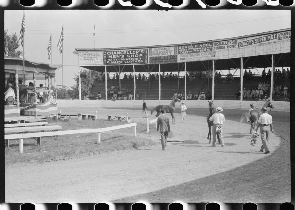 Entries in the Shelby County Horse Show and Fair, Shelbyville, Kentucky. Sourced from the Library of Congress.