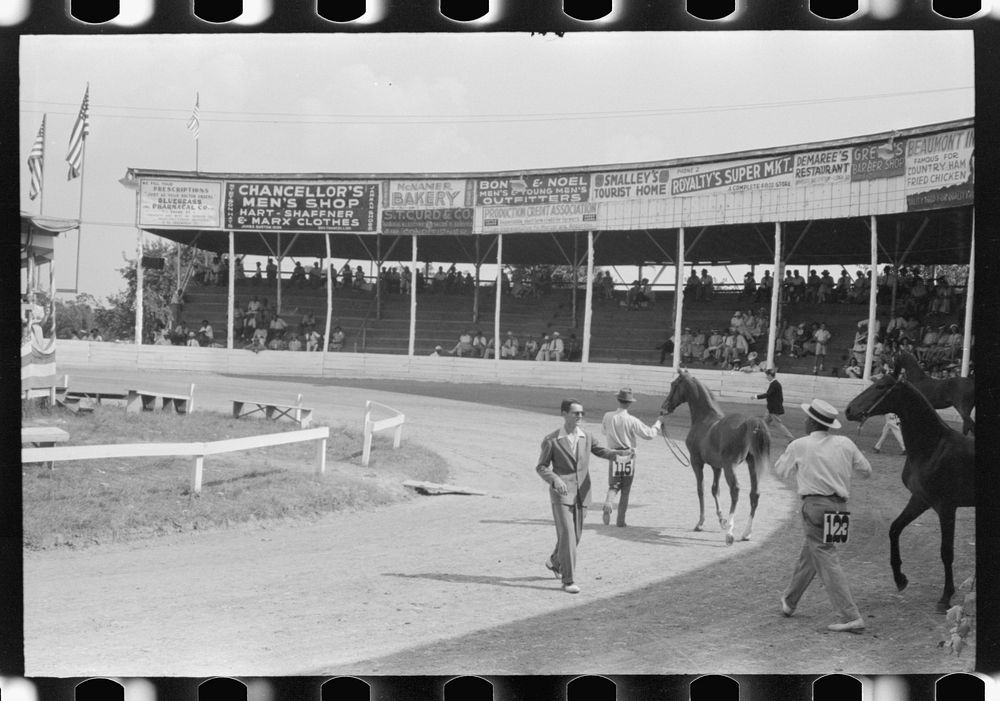 [Untitled photo, possibly related to: Entries in the Shelby County Horse Show & Fair, Shelbyville, Kentucky]. Sourced from…