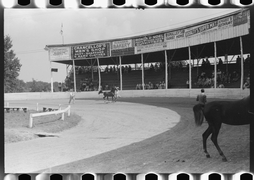 [Untitled photo, possibly related to: Entries in the Shelby County Horse Show and Fair, Shelbyville, Kentucky]. Sourced from…