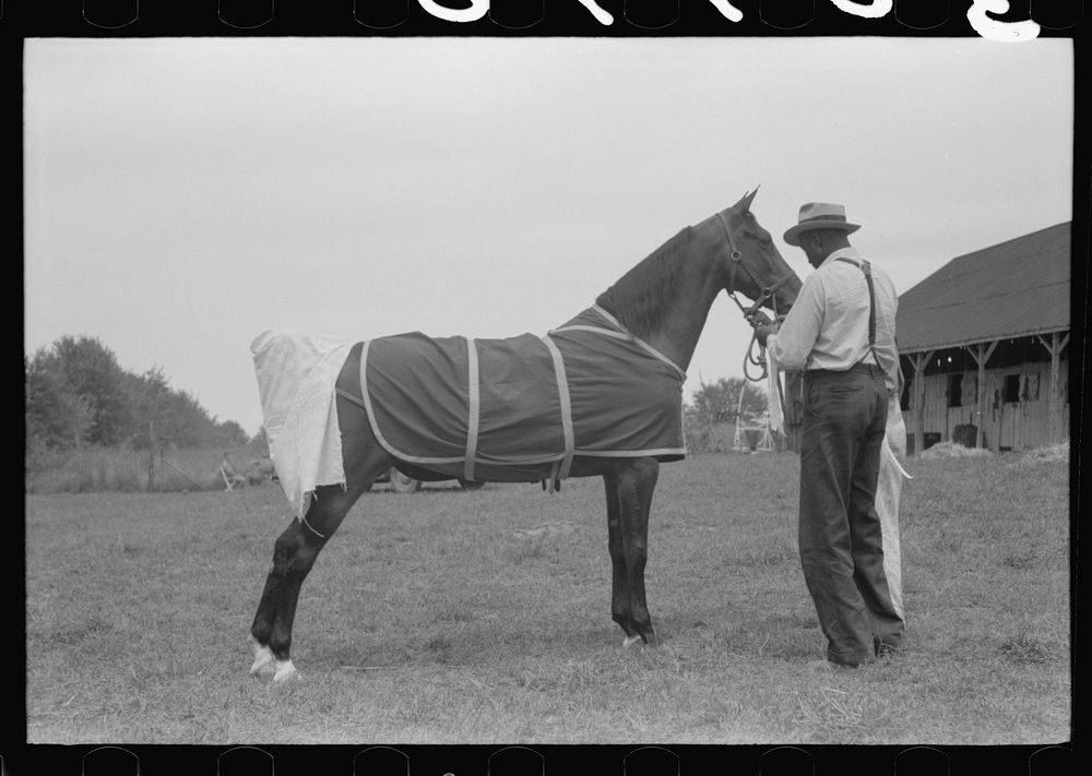 Elaborate preparations are made for entries in Shelby County Horse Show and Fair, Shelbyville, Kentucky. Sourced from the…