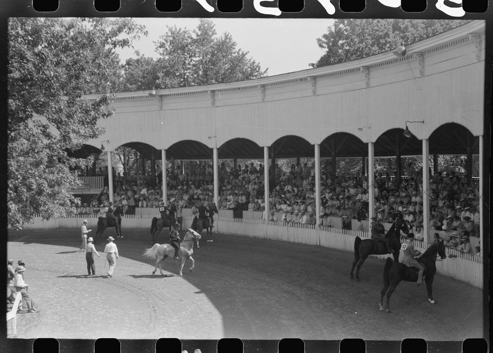 Entries in the Shelby County Horse Show and Fair, Shelbyville, Kentucky. Sourced from the Library of Congress.