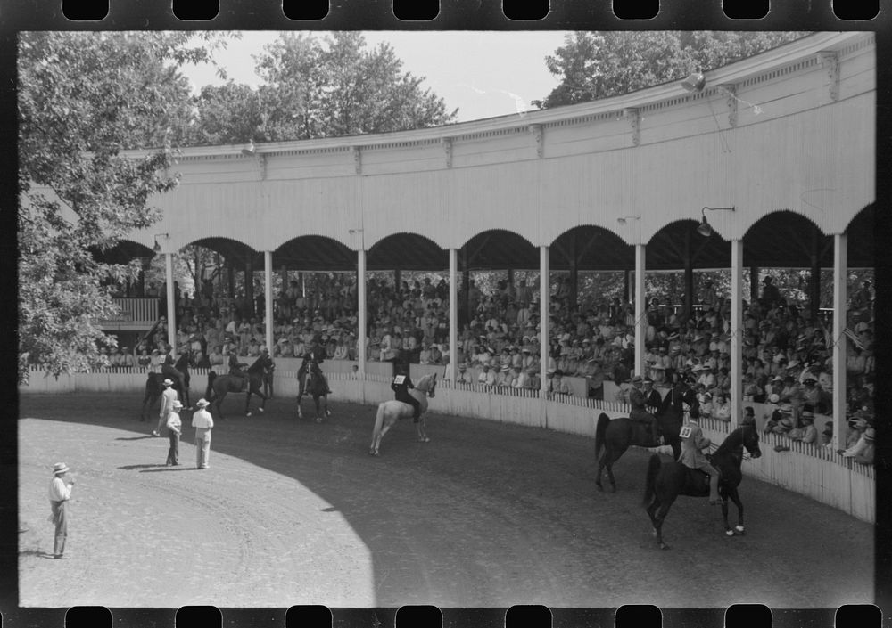 [Untitled photo, possibly related to: Entries in the Shelby County Horse Show and Fair, Shelbyville, Kentucky]. Sourced from…