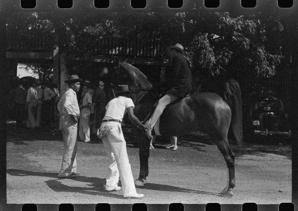[Untitled photo, possibly related to: Exercising one of the entries before the Shelby County Horse Show and Fair…