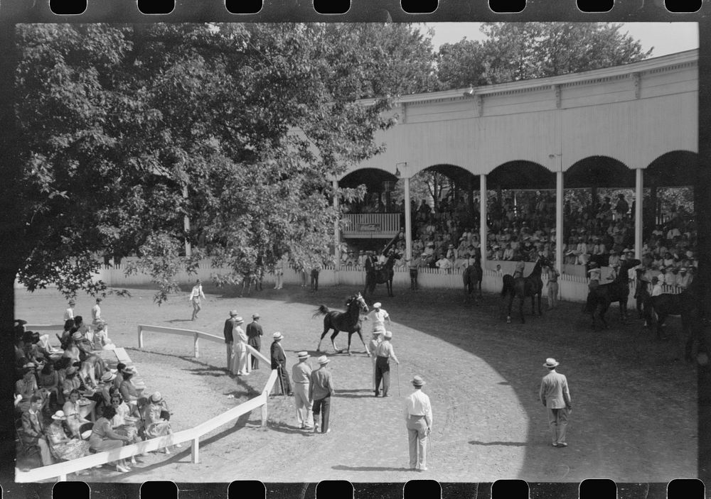 [Untitled photo, possibly related to: Entries in the Shelby County Horse Show and Fair. Shelbyville, Kentucky]. Sourced from…