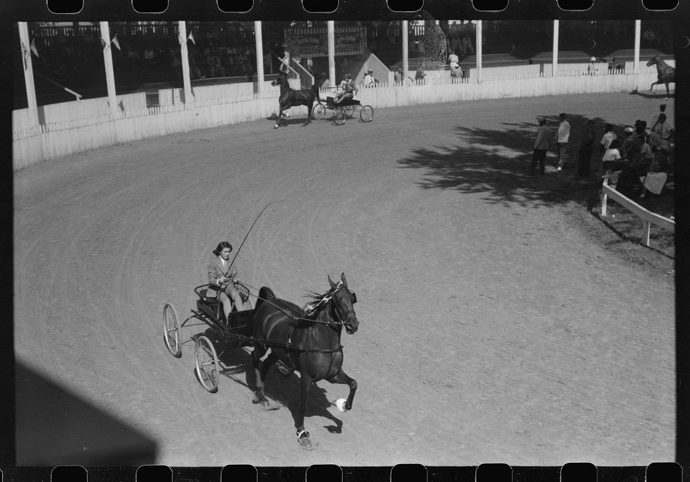 Entries in the Shelby County Horse Show and Fair. Shelbyville, Kentucky. Sourced from the Library of Congress.