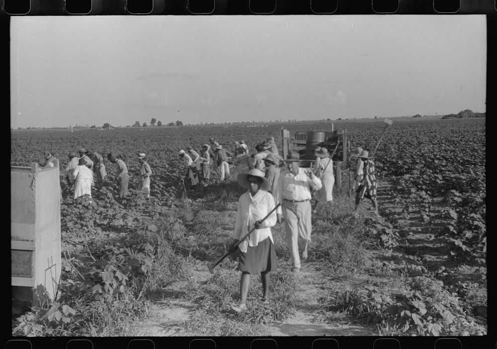 [Untitled photo, possibly related to: Hopson Plantation, near Clarksdale, Mississippi Delta, Mississippi]. Sourced from the…
