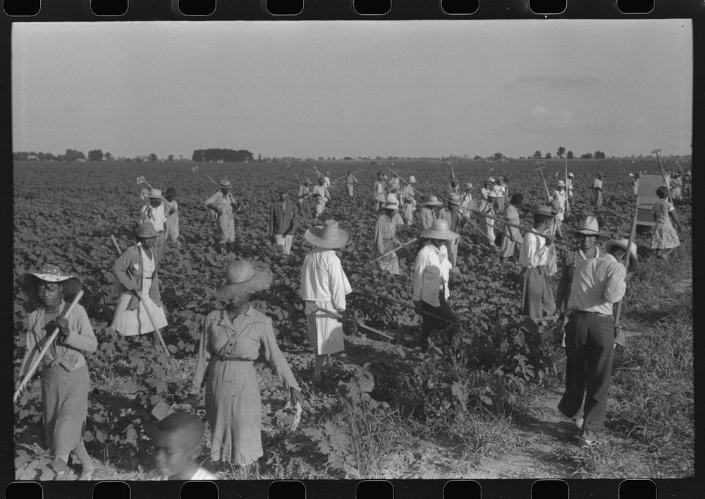 Hopson Plantation, near Clarksdale, Mississippi Delta, Mississippi. Sourced from the Library of Congress.