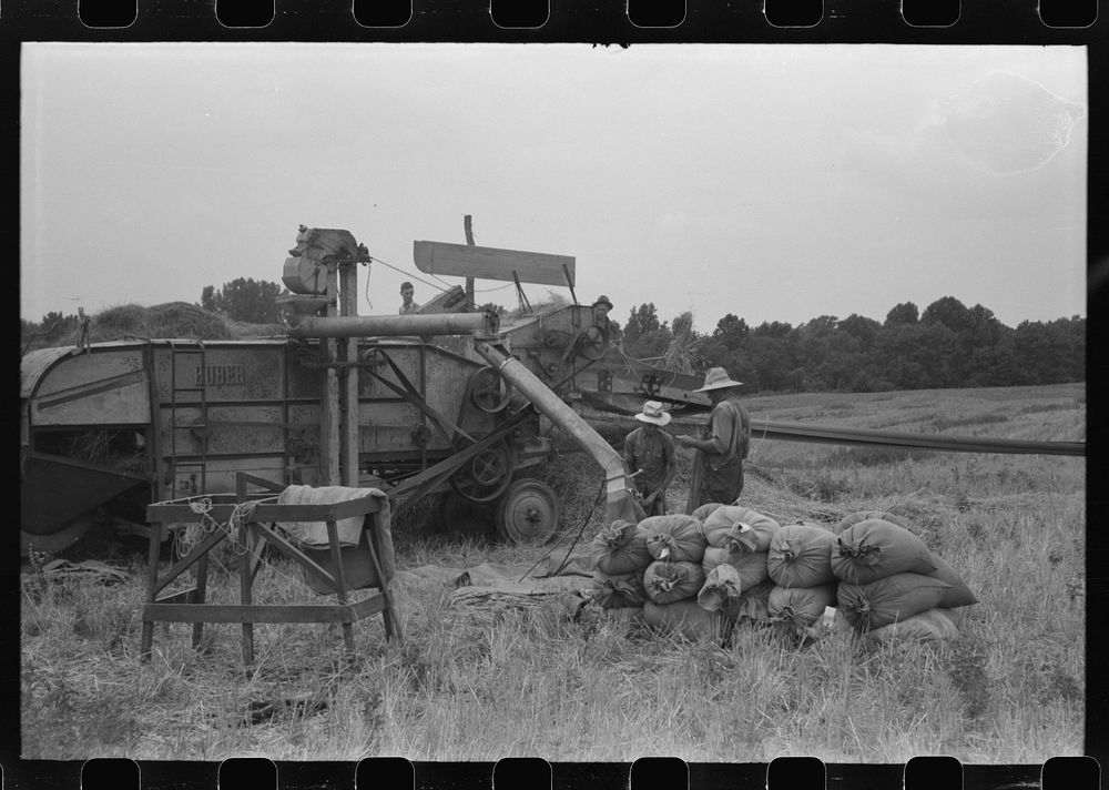 Threshing wheat on farm in Oldham County, Kentucky. Sourced from the Library of Congress.