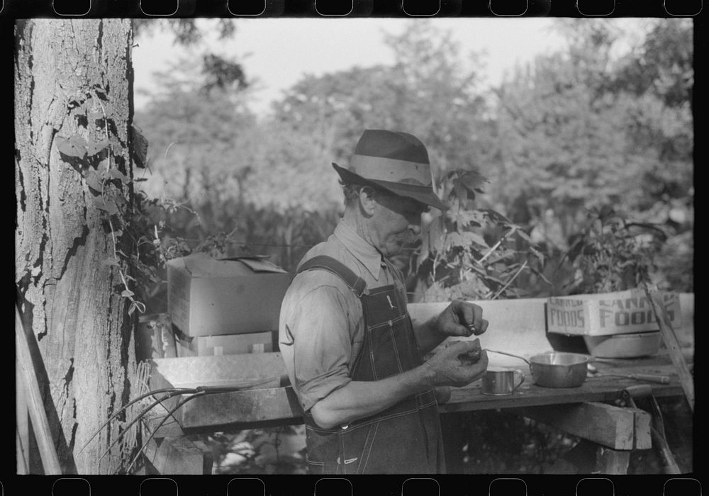 [Untitled photo, possibly related to: Picnicker peeling apple at St. Thomas church supper, near Bardstown, Kentucky].…