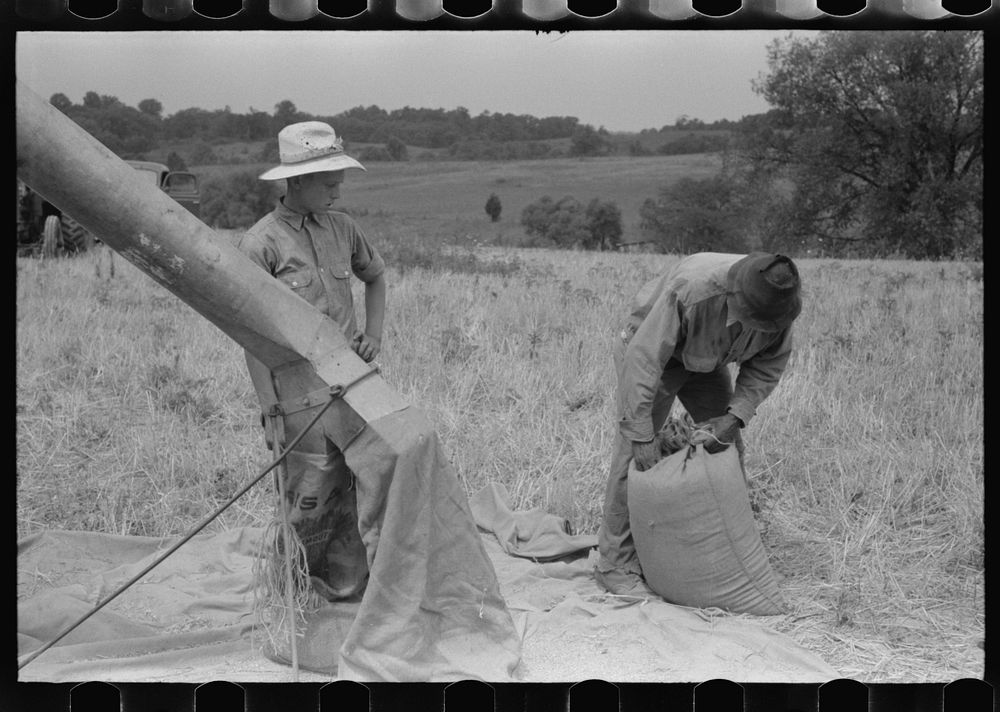 Threshing wheat on farm in Oldham County, Kentucky. Sourced from the Library of Congress.