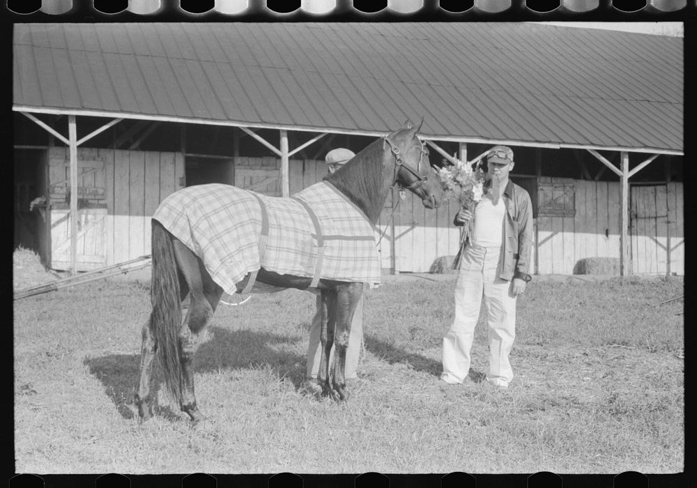 Winner in the Shelby County Horse Show and Fair, Shelbyville, Kentucky. Sourced from the Library of Congress.