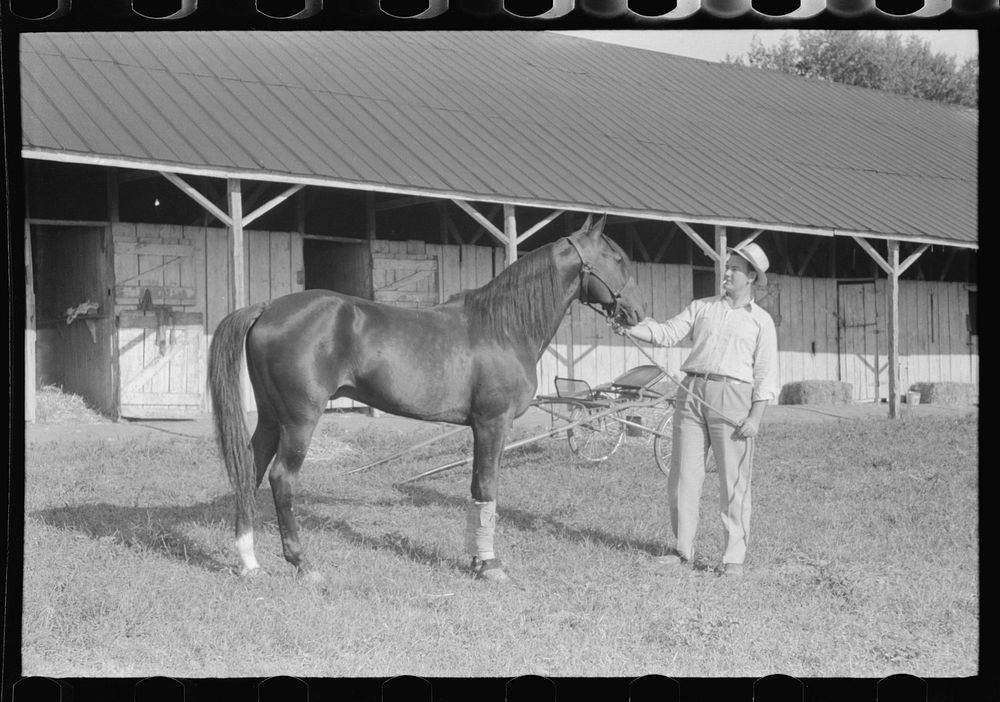 [Untitled photo, possibly related to: Winner in the Shelby County Horse Show and Fair, Shelbyville, Kentucky]. Sourced from…