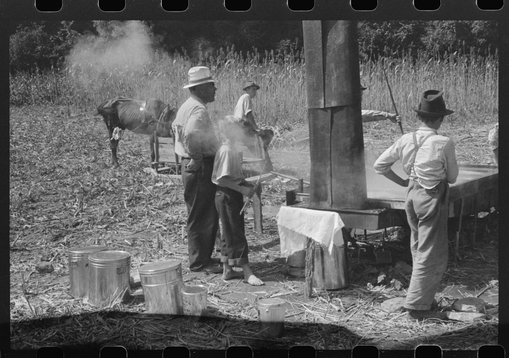 [Untitled photo, possibly related to: Boiling down the sorghum cane sap into syrup. At a mountaineer's home on the highway…