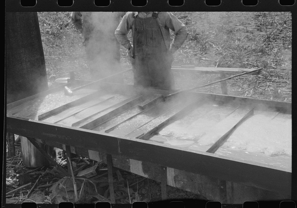 Boiling down the sorghum cane sap into syrup. At a mountaineer's home on the highway between Jackson and Campton, Kentucky.…